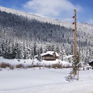 Meet your Posher, Toni